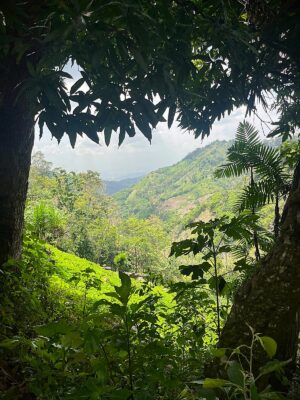 Honduras. Foto paisaje de la sierra.